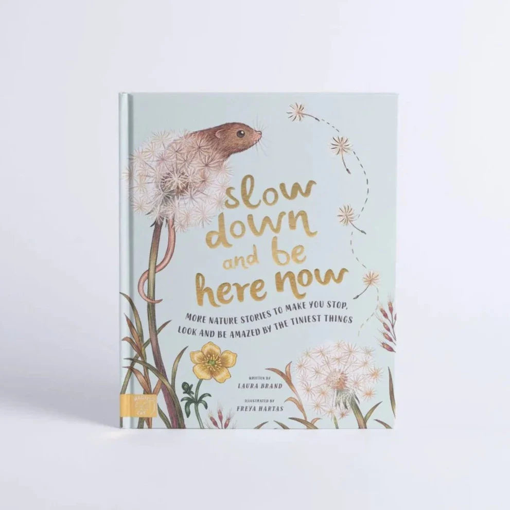 Slow Down Collection