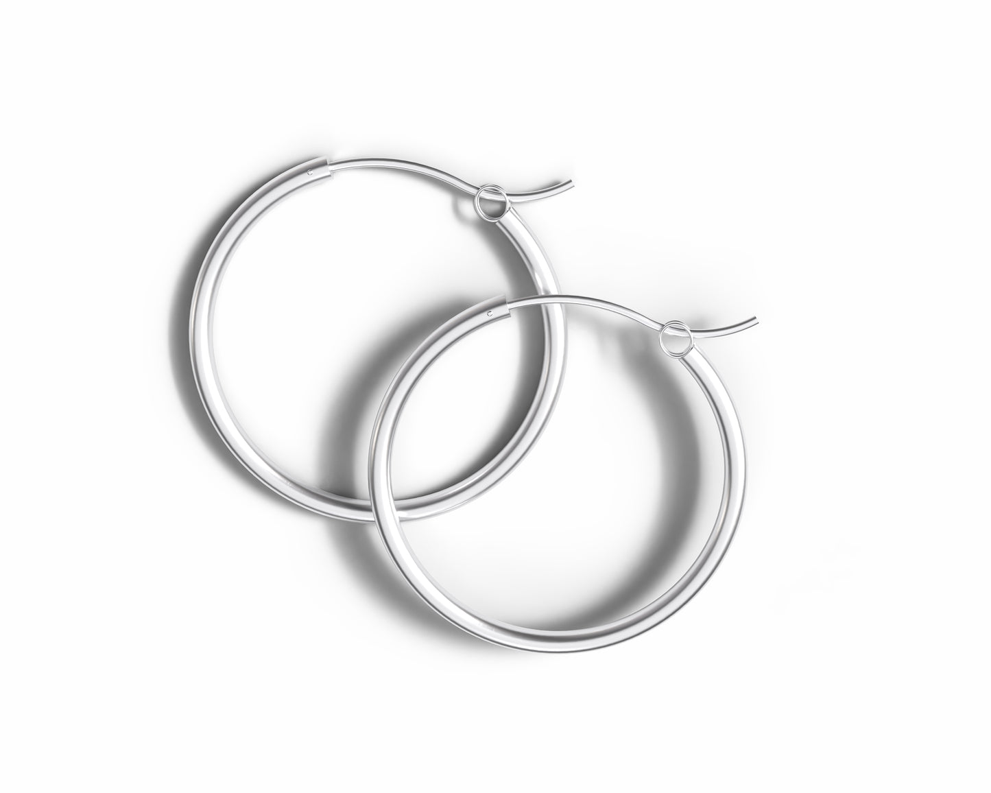 Hinged Hoop Earrings Clasp Style