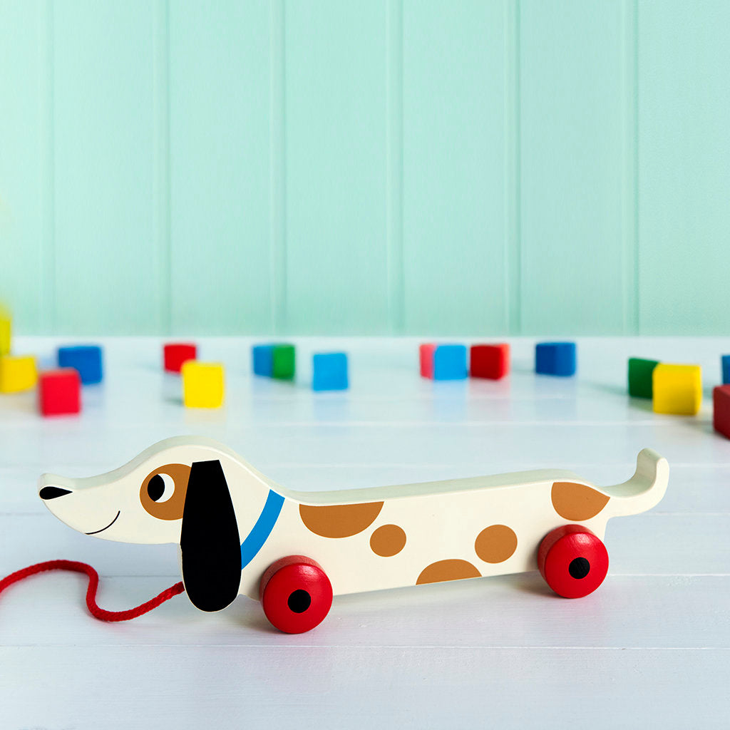 Dog & Cat Collection