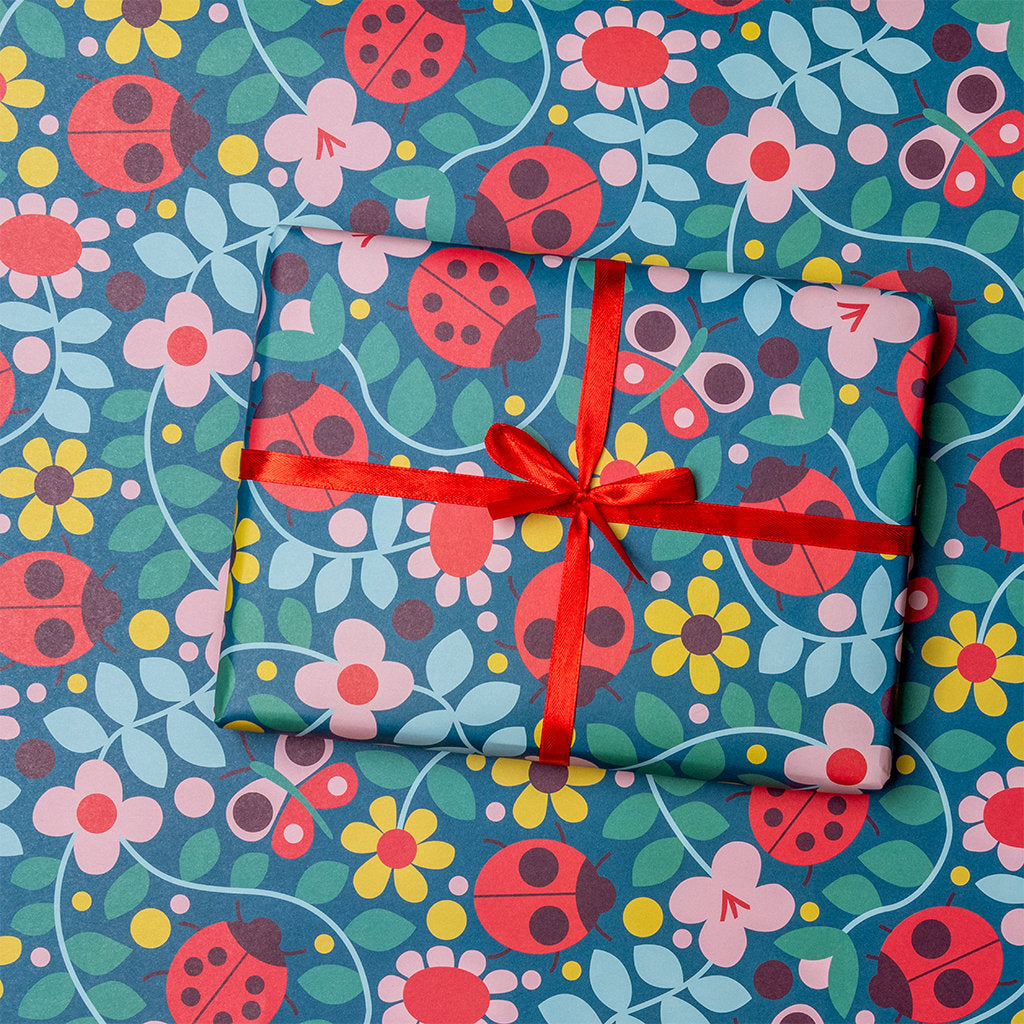 Ladybird Collection