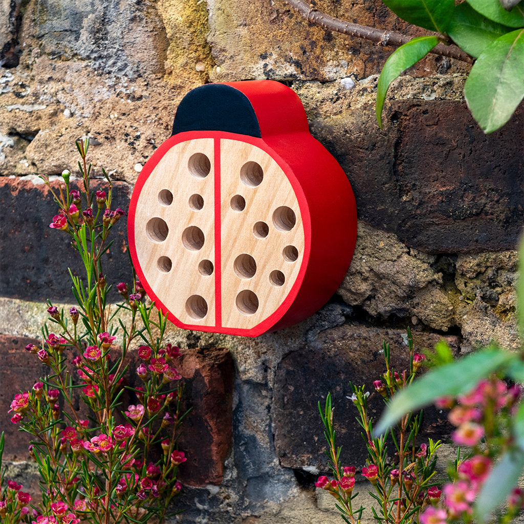 Ladybird Collection