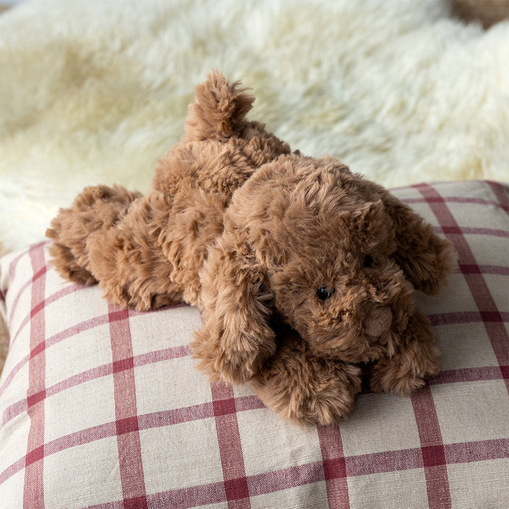 Dog & Cat Collection