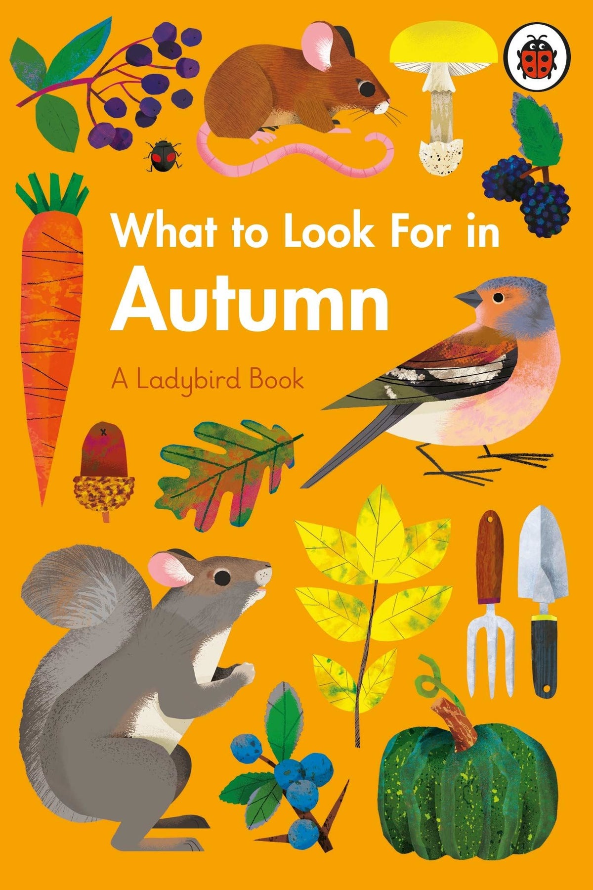 Autumn & Halloween Children’s Books