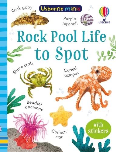 Usborne Minis