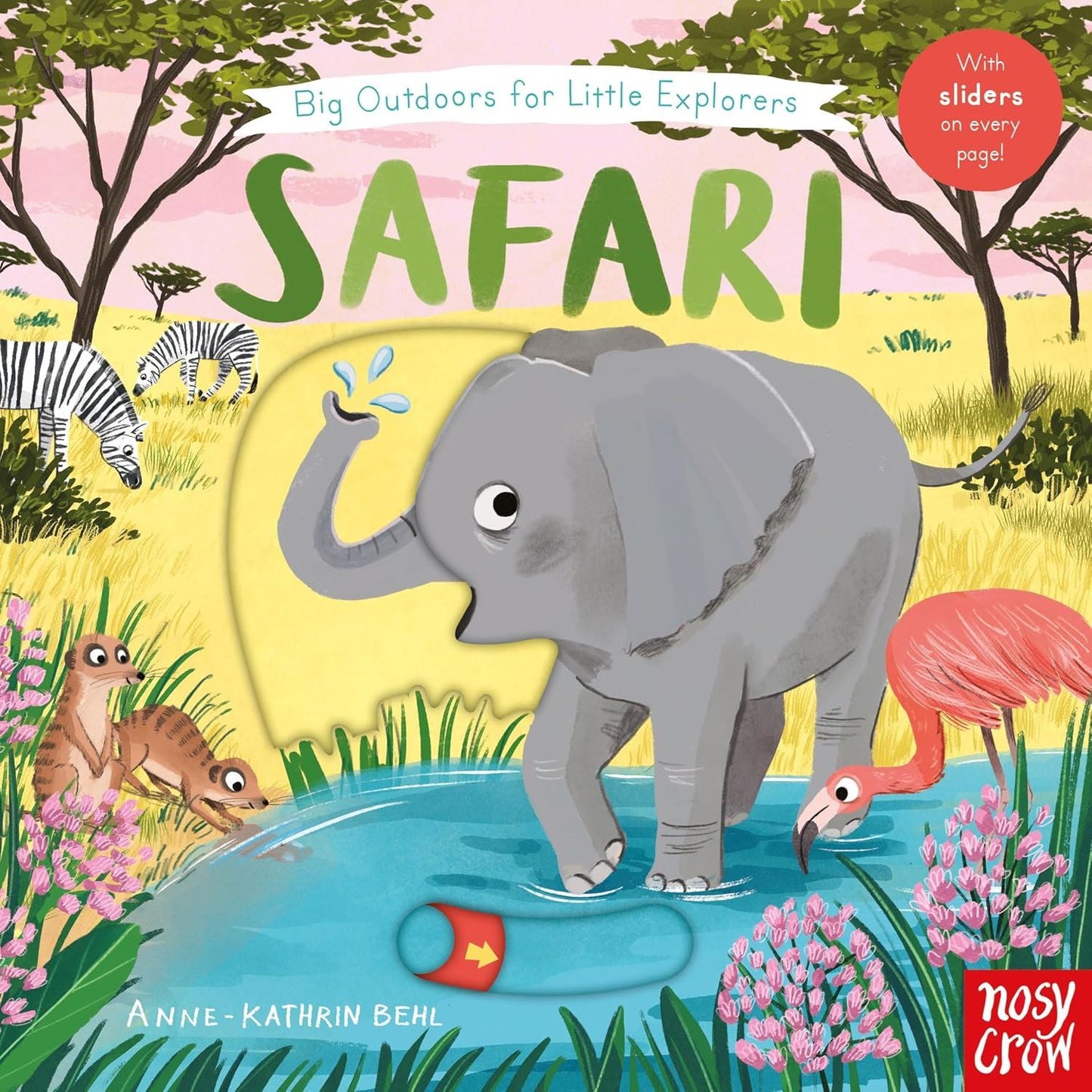 Touch Feel & Lift the Flap Books