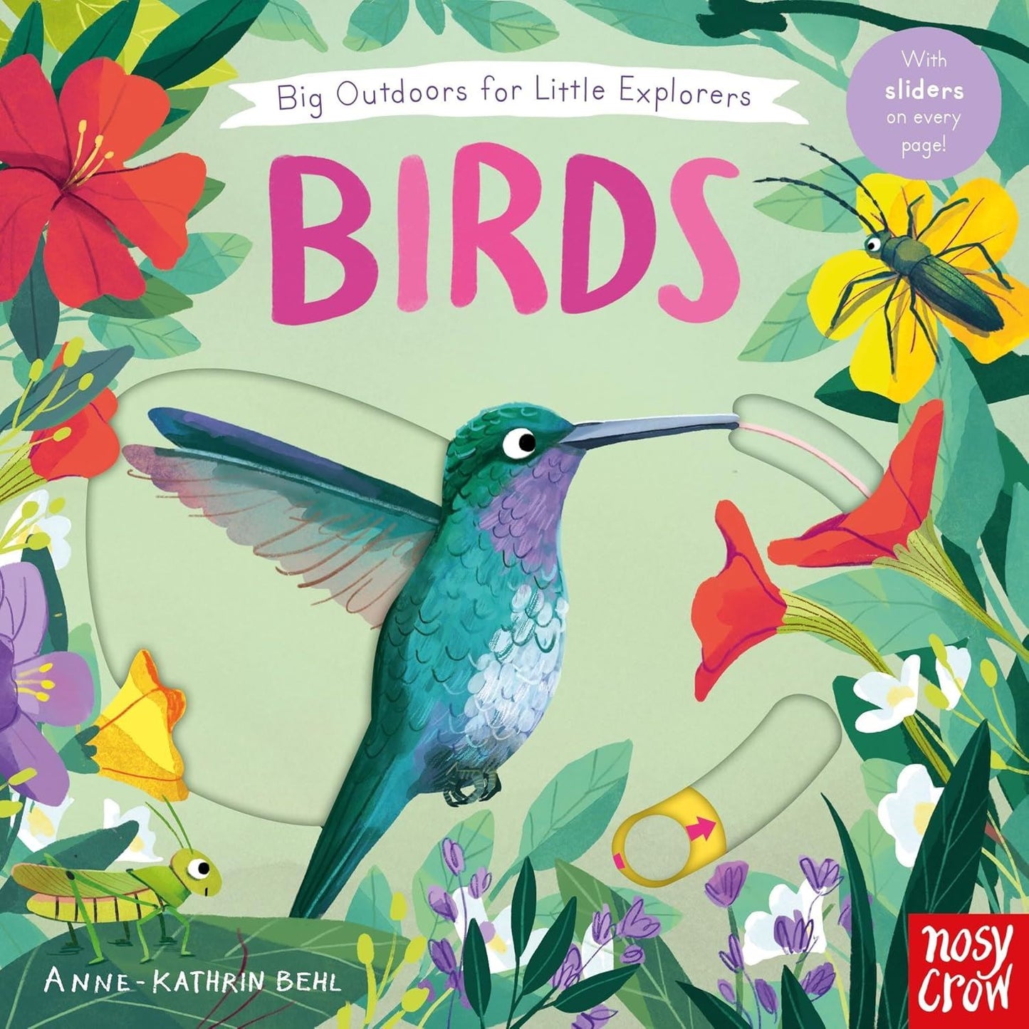 Touch Feel & Lift the Flap Books