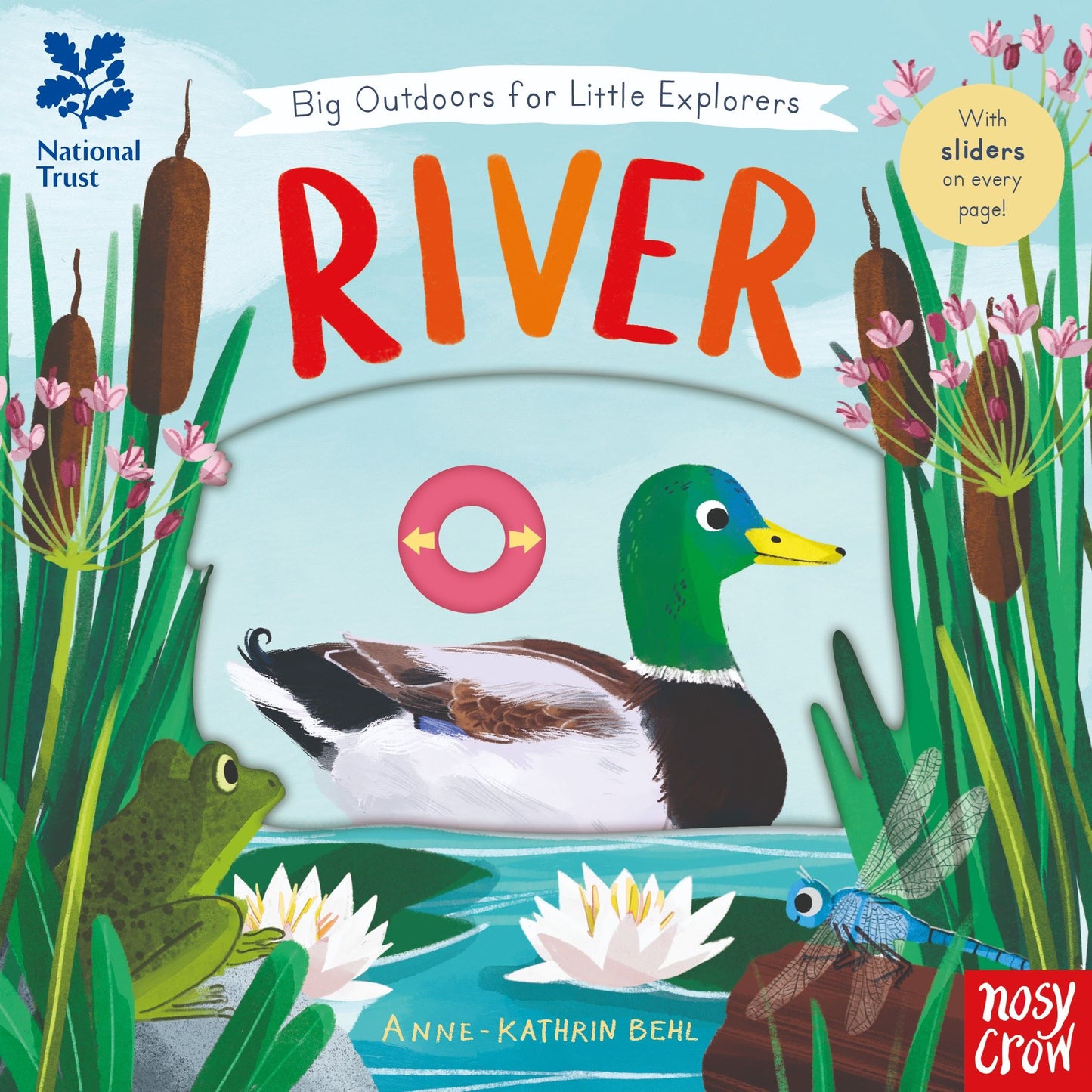 Touch Feel & Lift the Flap Books