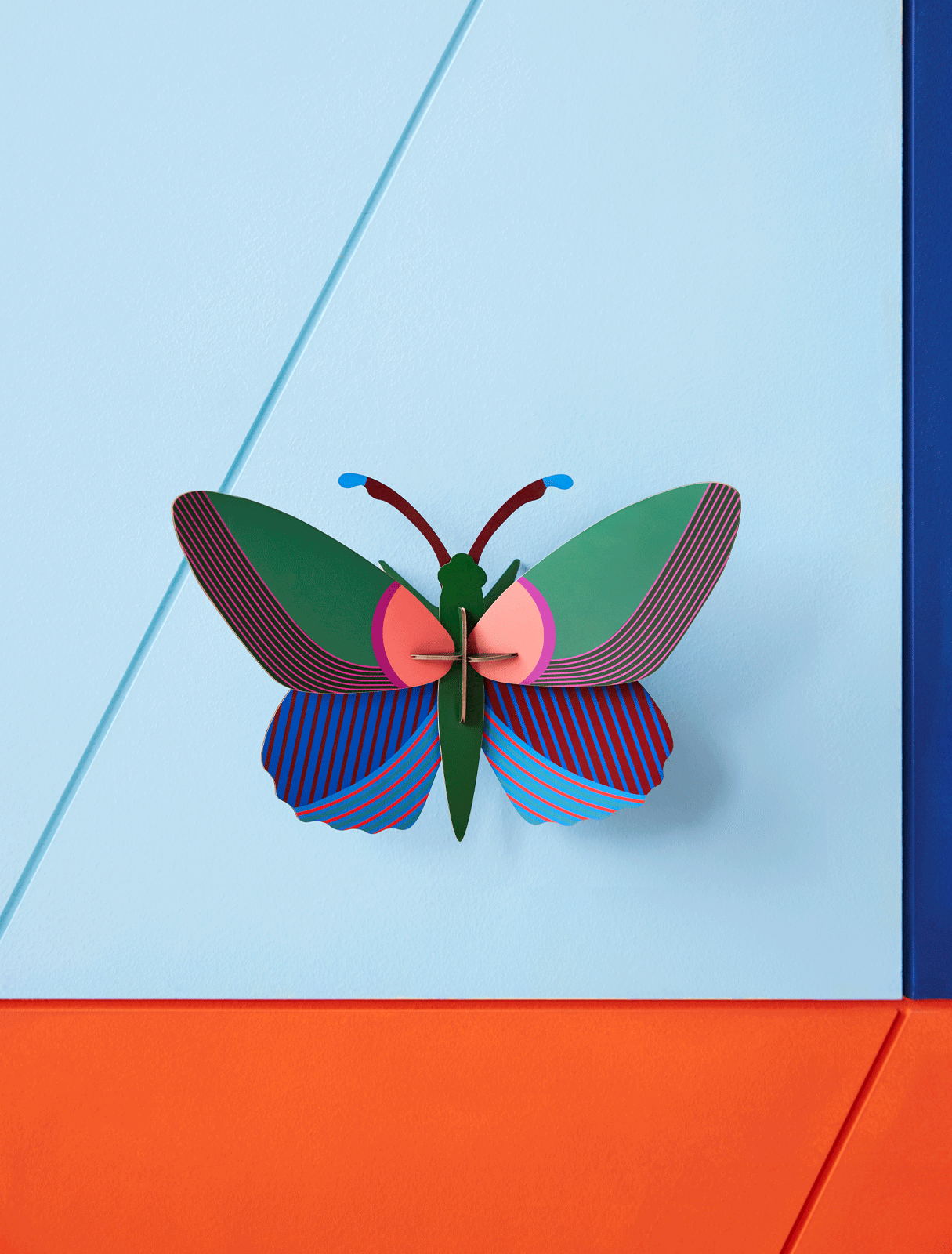 Butterflies & Beetles Wall Art