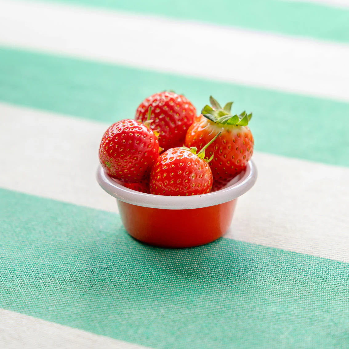 Patterned Enamel Tableware