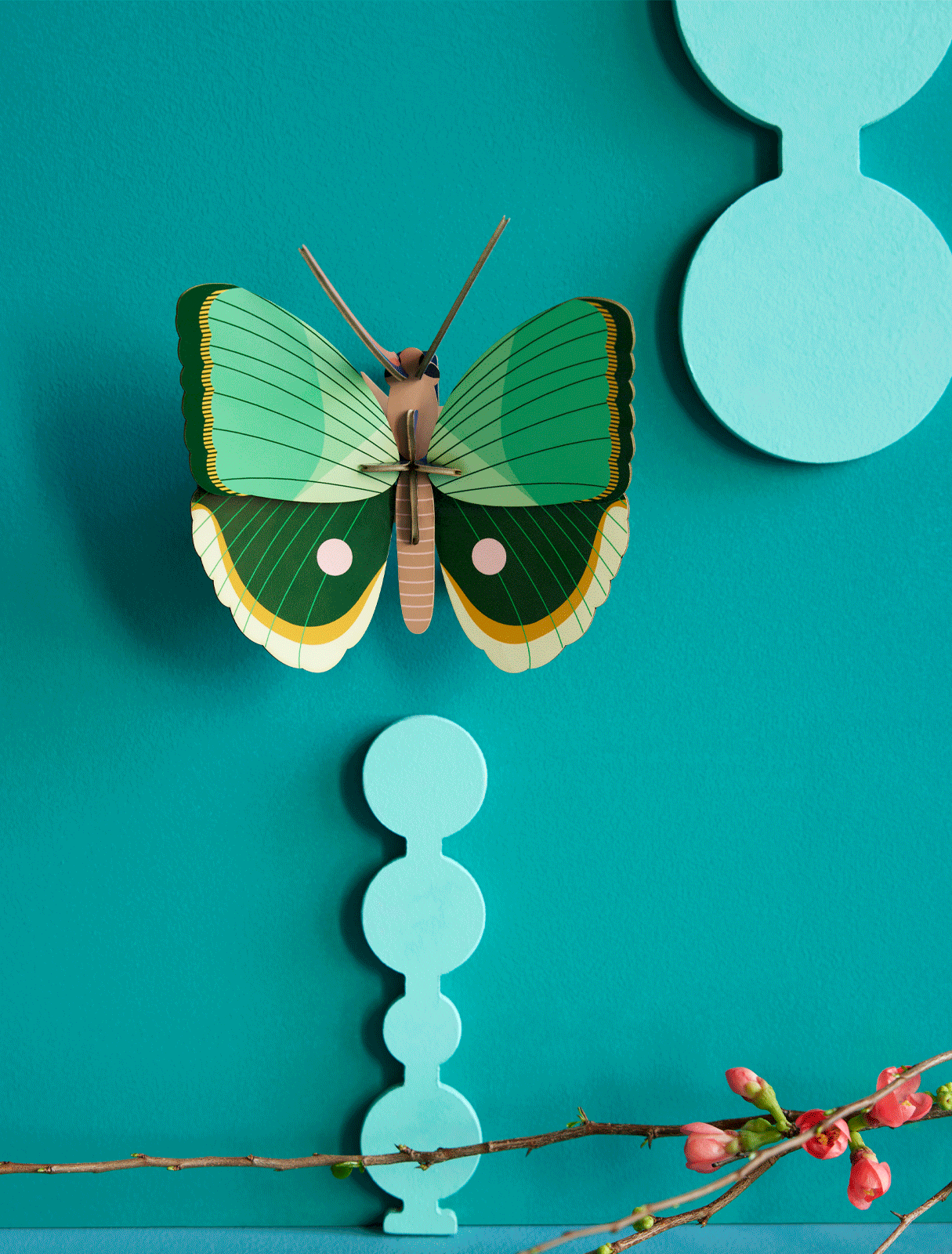 Butterflies & Beetles Wall Art