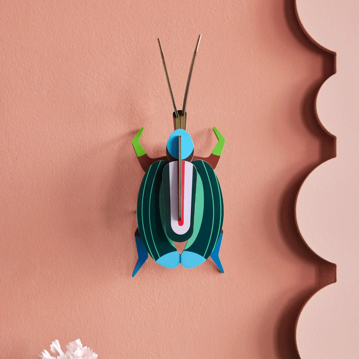 Butterflies & Beetles Wall Art