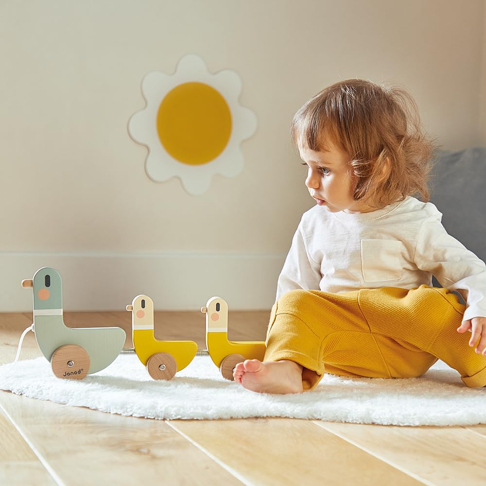 Janod Toys