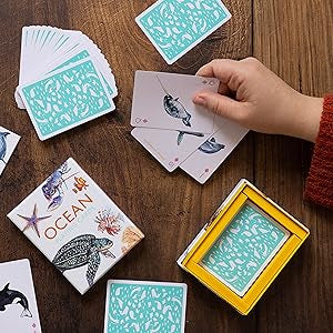 Snap, Match & Other Games