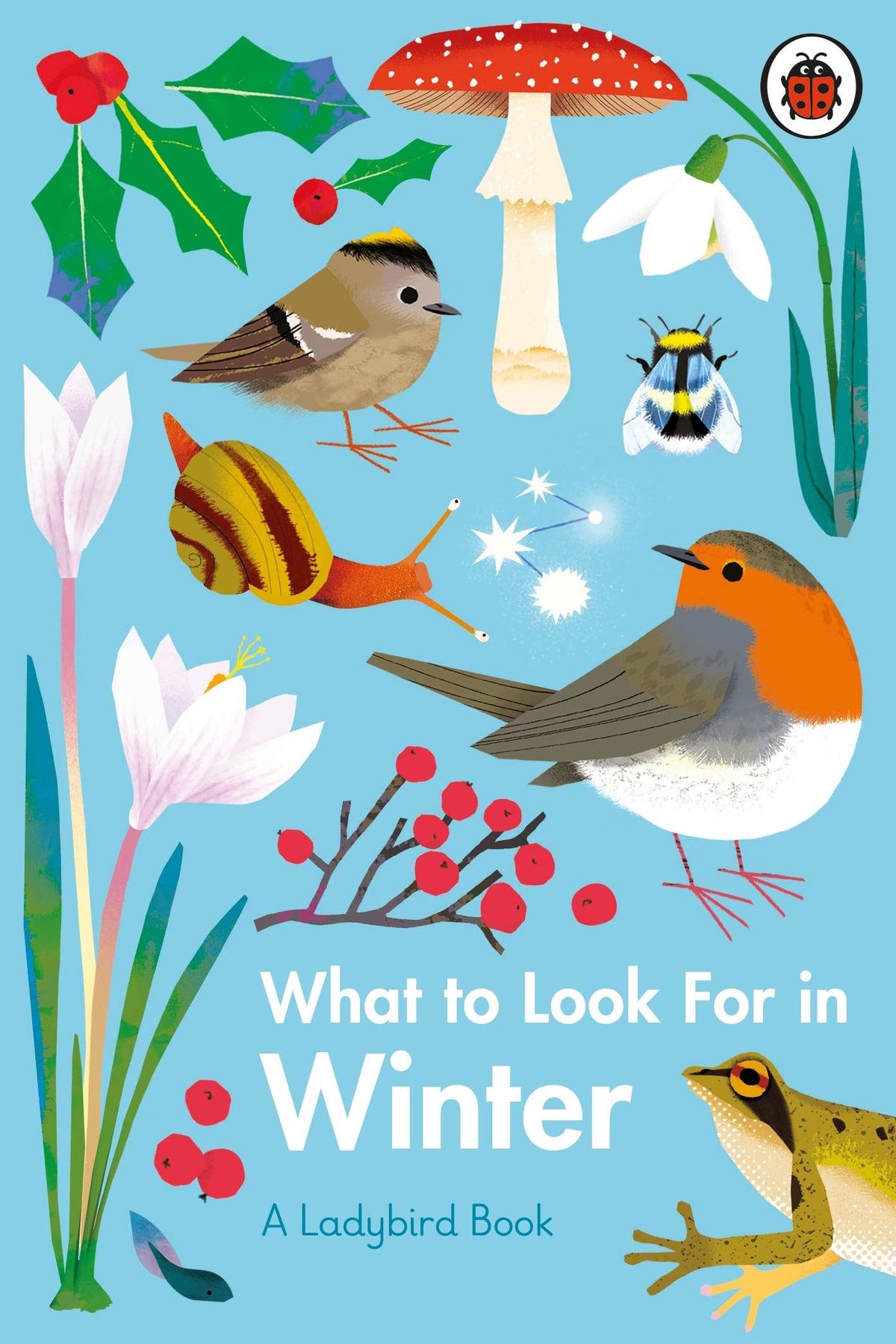 Children’s Christmas Paperback & Hardback Books