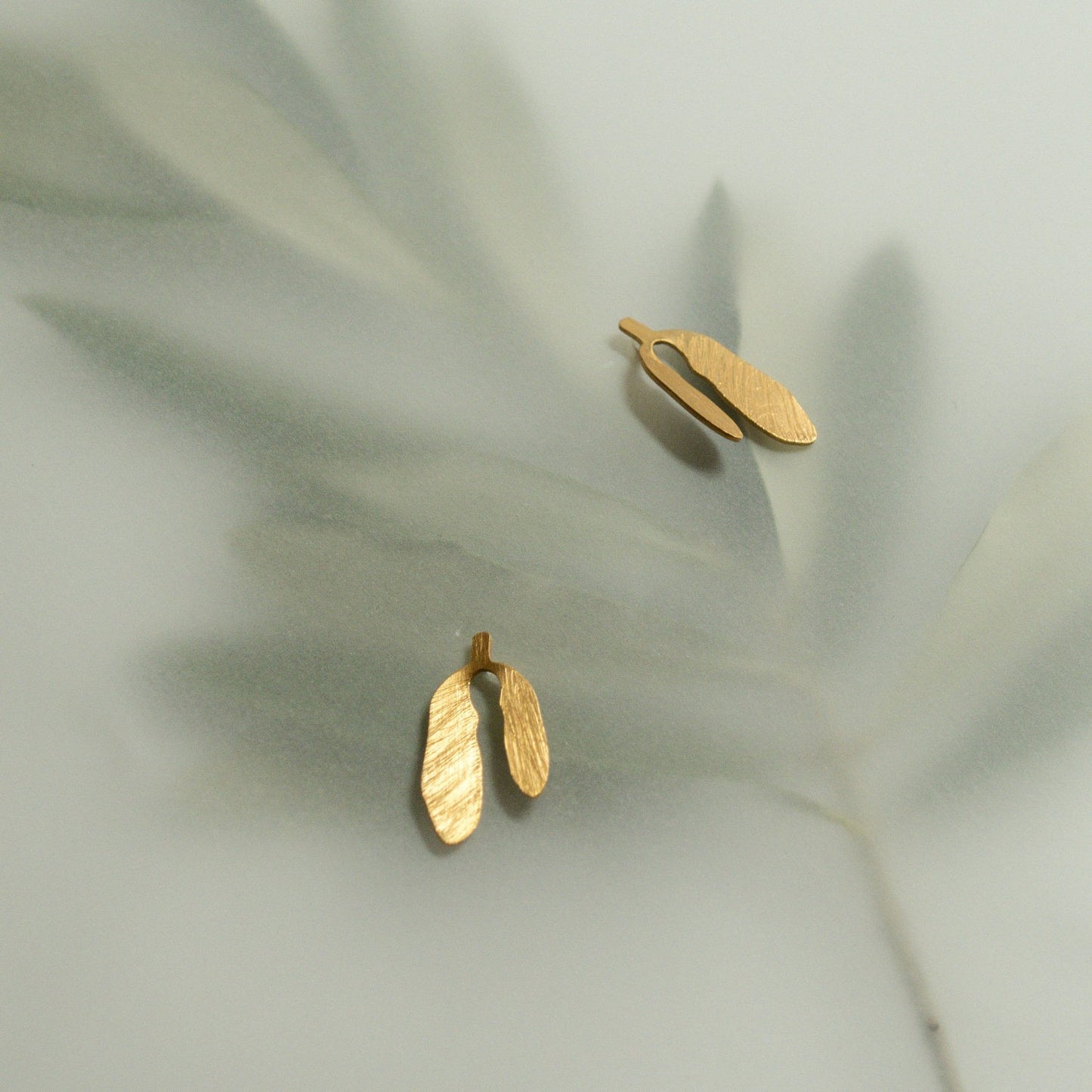 Silvela & Exotica