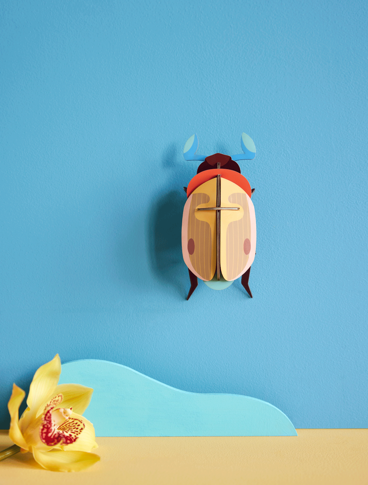 Butterflies & Beetles Wall Art