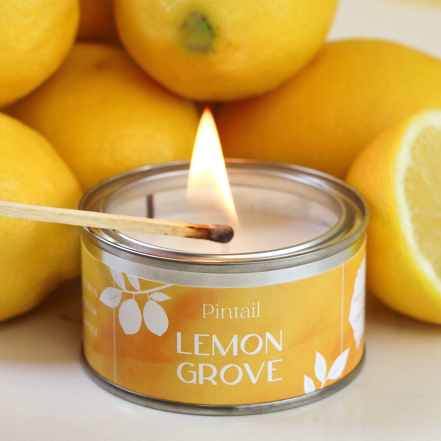 Petite Paint Pot Candles