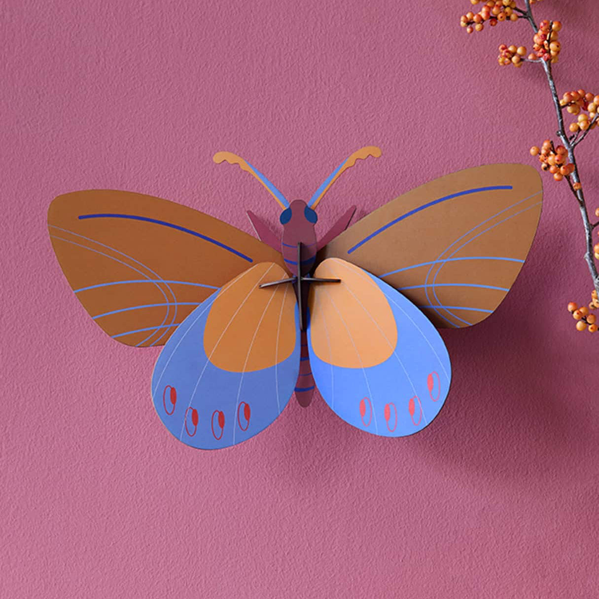 Butterflies & Beetles Wall Art
