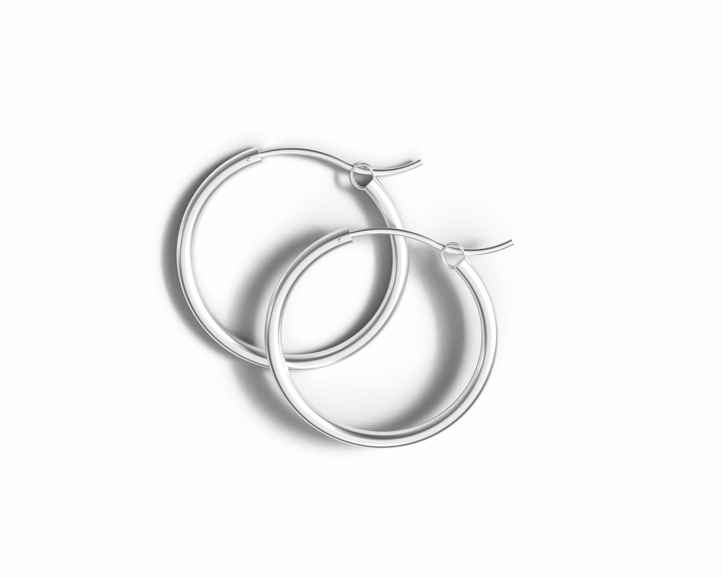 Hinged Hoop Earrings Clasp Style