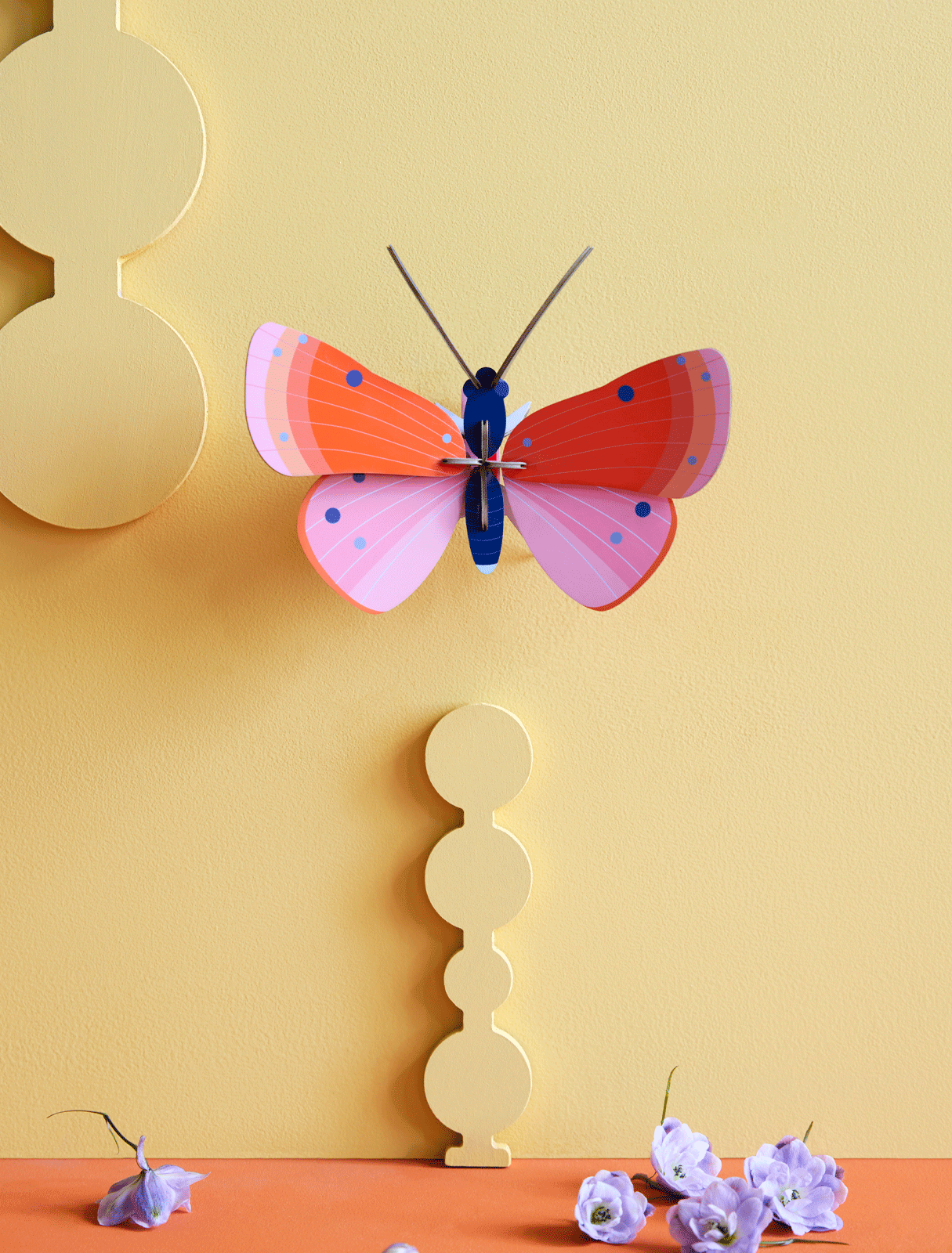 Butterflies & Beetles Wall Art