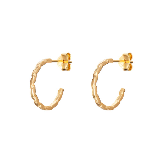 Gold Earrings