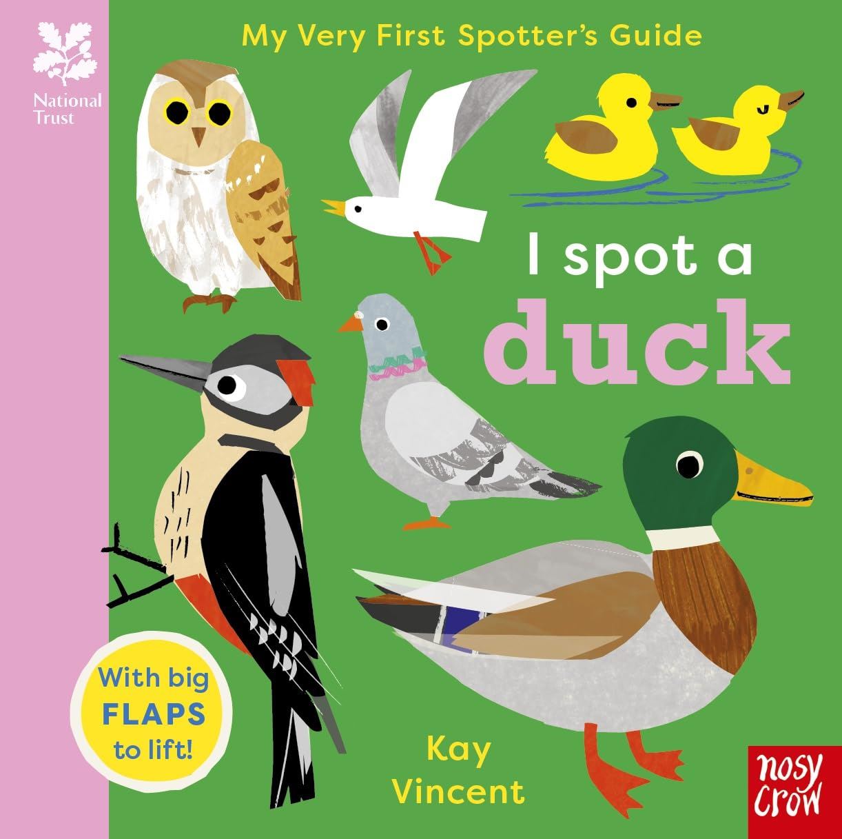 Touch Feel & Lift the Flap Books