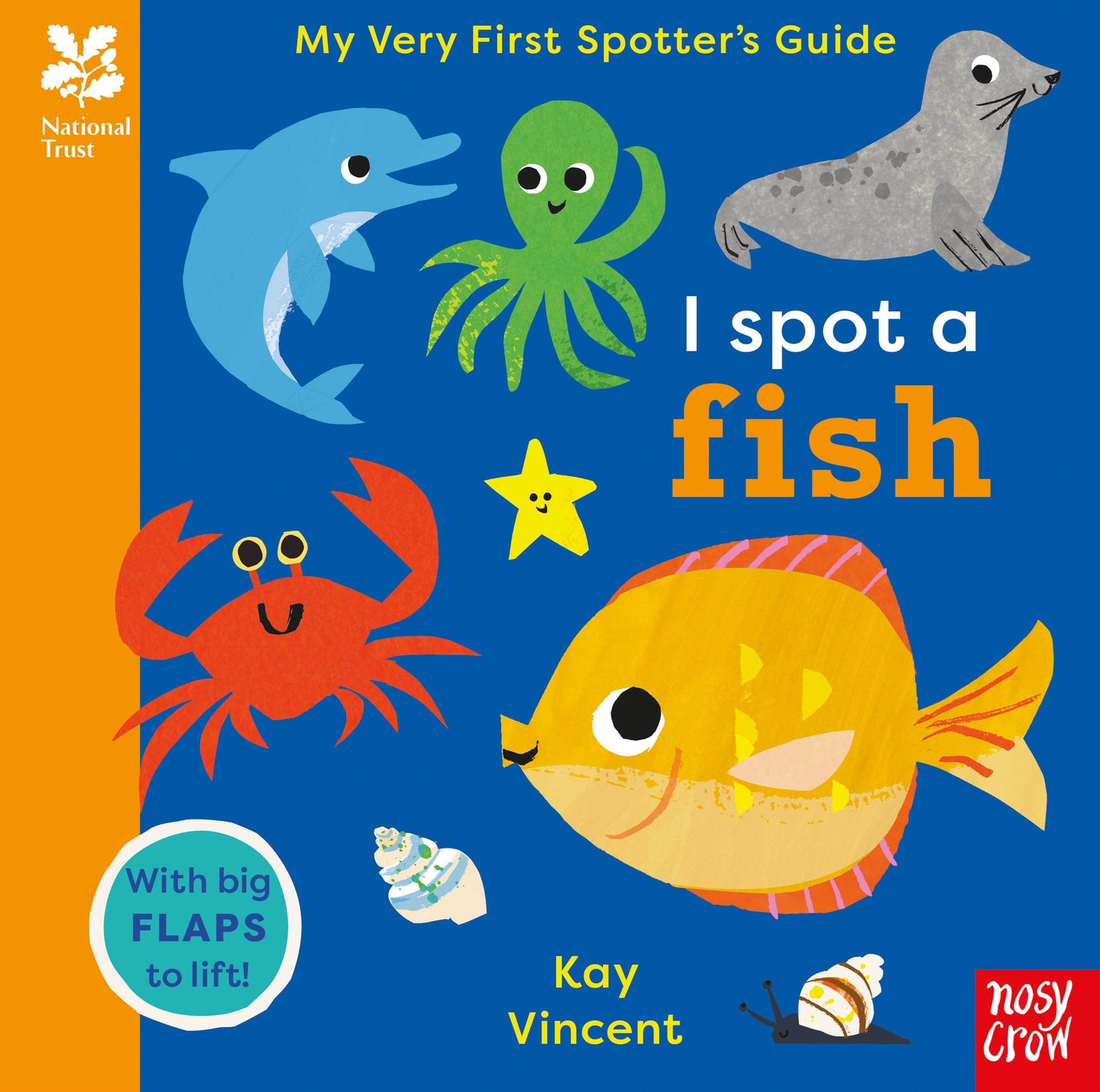 Touch Feel & Lift the Flap Books