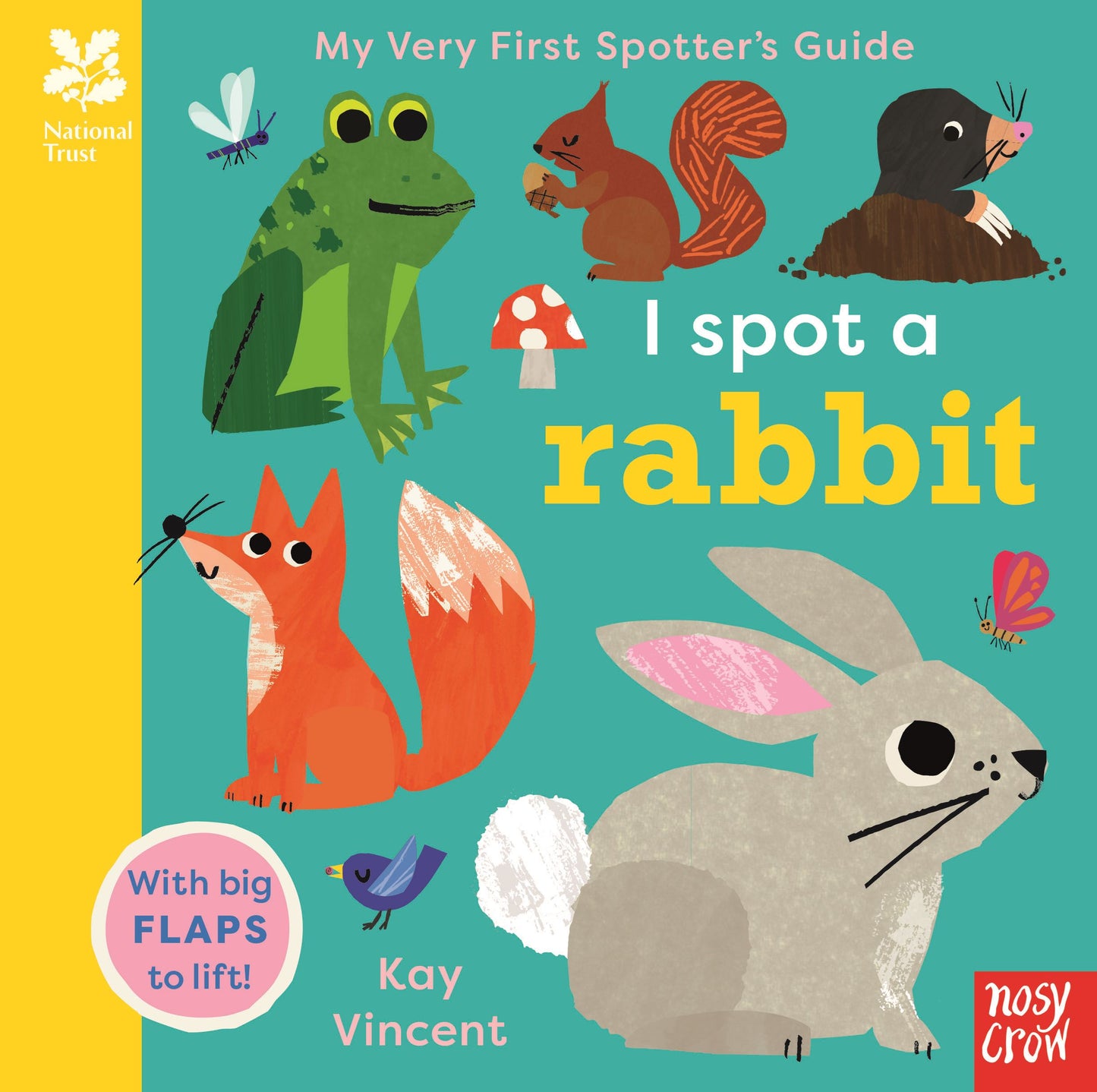 Touch Feel & Lift the Flap Books