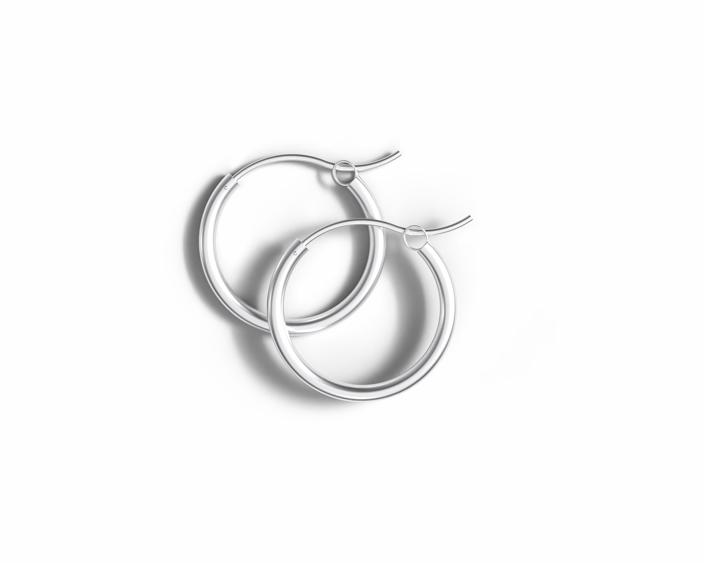 Hinged Hoop Earrings Clasp Style