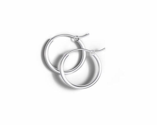 Hinged Hoop Earrings Clasp Style