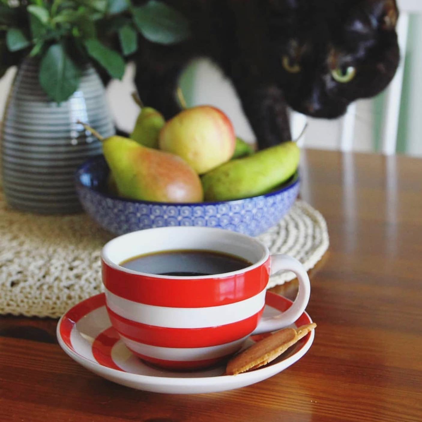 Red Cornishware Collection